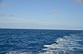166_Falkland_Islands