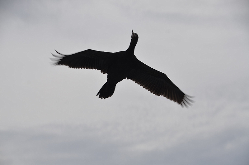 022_USA_Alaska_St_Georges_Island.JPG