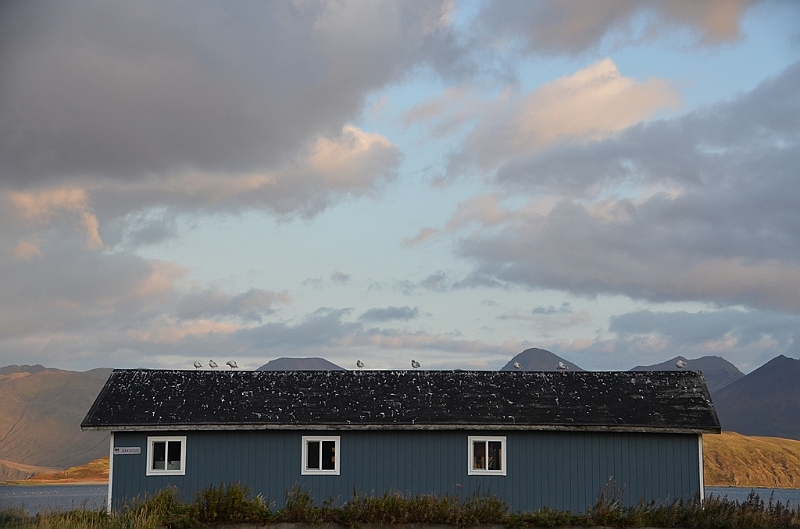 055_USA_Alaska_Dutch_Harbor.JPG