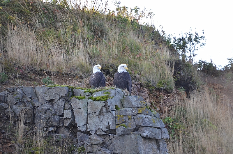 085_USA_Alaska_Dutch_Harbor.JPG