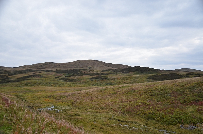 137_USA_Alaska_Unga_Island.JPG