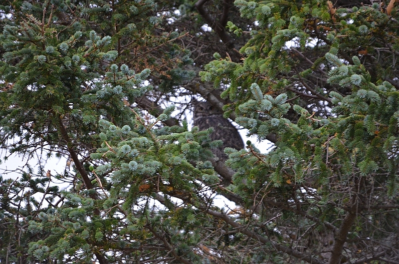 149_USA_Alaska_Unga_Island.JPG