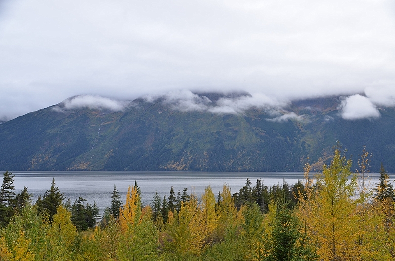 238_USA_Alaska.JPG