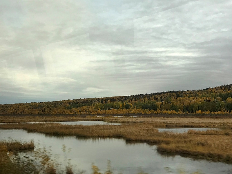 244_USA_Alaska.jpg