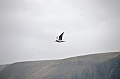 018_USA_Alaska_St_Georges_Island