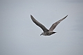 027_USA_Alaska_St_Georges_Island