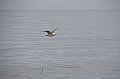035_USA_Alaska_St_Georges_Island