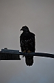 053_USA_Alaska_Dutch_Harbor