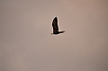 060_USA_Alaska_Dutch_Harbor