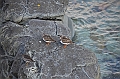 081_USA_Alaska_Dutch_Harbor