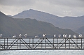 091_USA_Alaska_Dutch_Harbor
