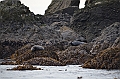 157_USA_Alaska_Unga_Island