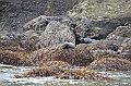 158_USA_Alaska_Unga_Island