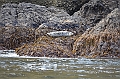 159_USA_Alaska_Unga_Island