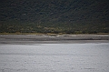 200_USA_Alaska_Katmai_NP_Brown_Bear