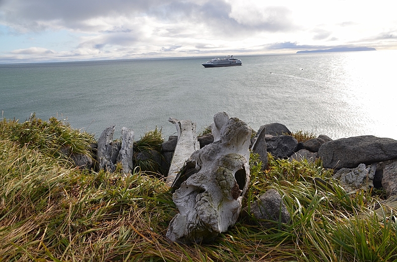082_Arctic_Russia_Cape_Dezhnev.JPG