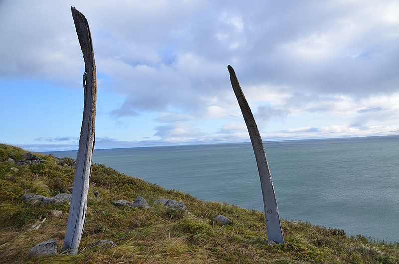 085_Arctic_Russia_Cape_Dezhnev.JPG