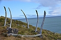 084_Arctic_Russia_Cape_Dezhnev