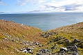 097_Arctic_Russia_Cape_Dezhnev
