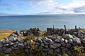100_Arctic_Russia_Cape_Dezhnev