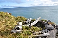 104_Arctic_Russia_Cape_Dezhnev