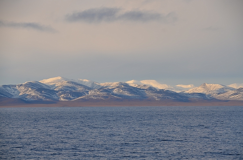 007_Russia_Wrangel_Island.JPG