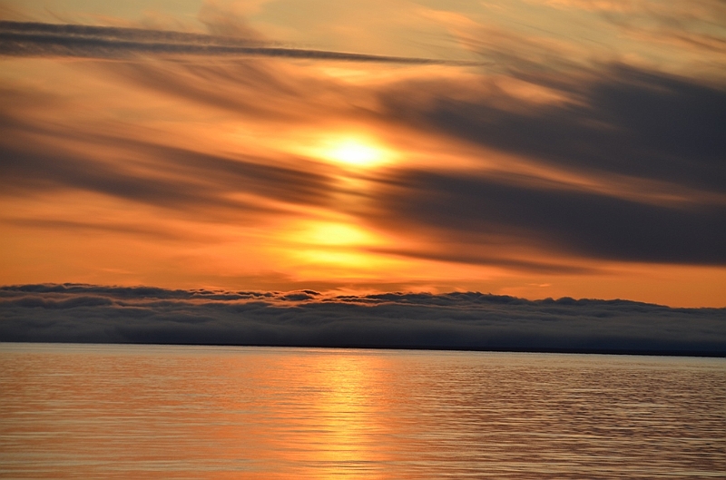 009_Russia_Wrangel_Island.JPG