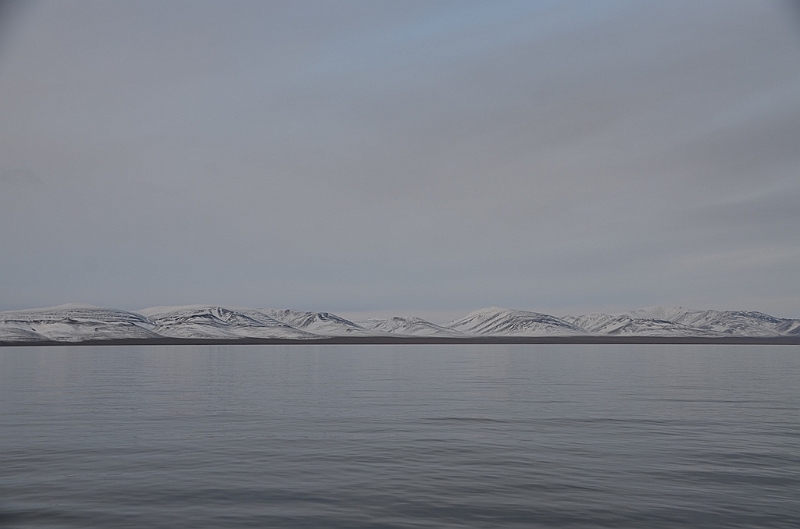 010_Russia_Wrangel_Island.JPG