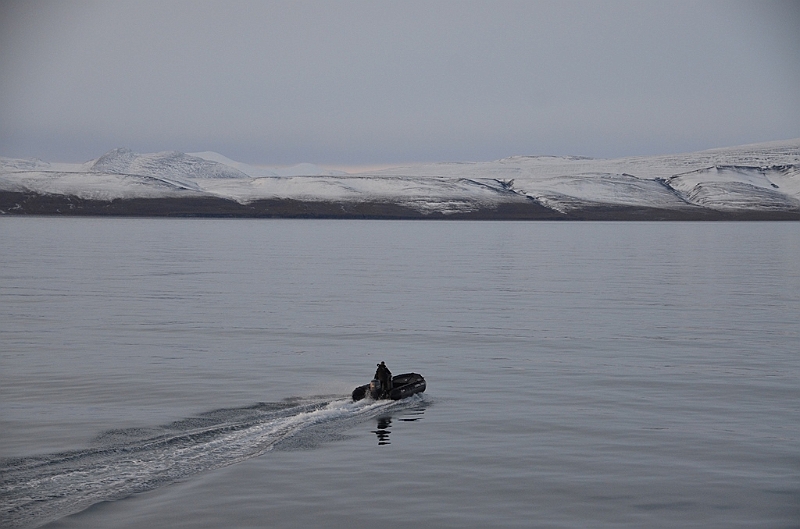 013_Russia_Wrangel_Island.JPG