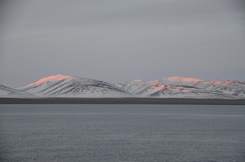 015_Russia_Wrangel_Island.JPG
