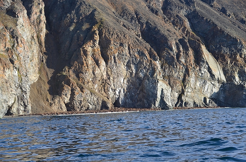 033_Russia_Herald_Island.JPG