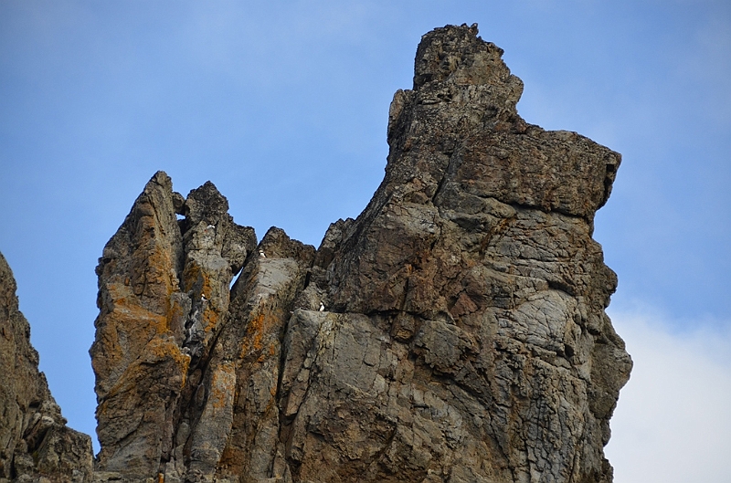 040_Russia_Herald_Island.JPG