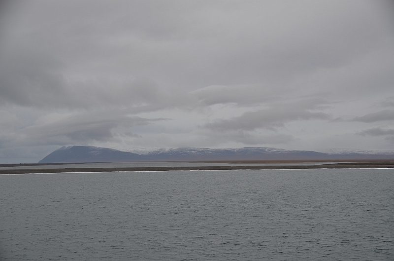 113_Russia_Wrangel_Island.JPG