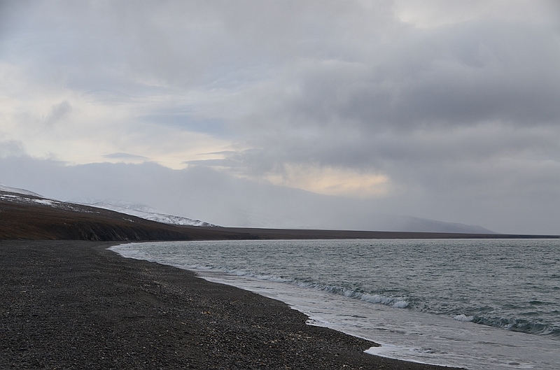 116_Russia_Wrangel_Island.JPG