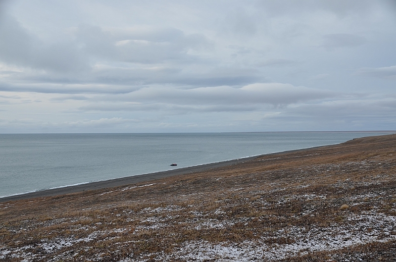 123_Russia_Wrangel_Island.JPG