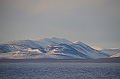 006_Russia_Wrangel_Island