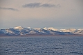 007_Russia_Wrangel_Island