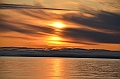 009_Russia_Wrangel_Island