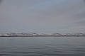 010_Russia_Wrangel_Island