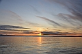 011_Russia_Wrangel_Island