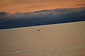 012_Russia_Wrangel_Island