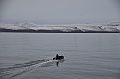 013_Russia_Wrangel_Island