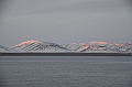 015_Russia_Wrangel_Island