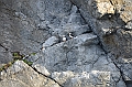 024_Russia_Herald_Island