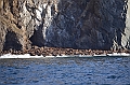031_Russia_Herald_Island