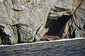 035_Russia_Herald_Island