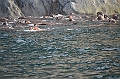 045_Russia_Herald_Island