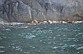 047_Russia_Herald_Island