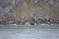 063_Russia_Wrangel_Island_Cape_Waring