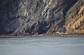 066_Russia_Wrangel_Island_Cape_Waring
